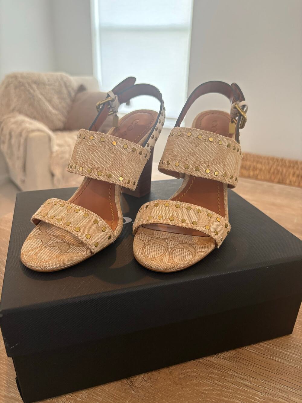 Coach Rylie Heeled Sandals Ivory Signature Jacquard Size 6B NIB